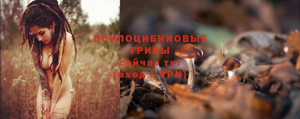 наркотики Каменногорск