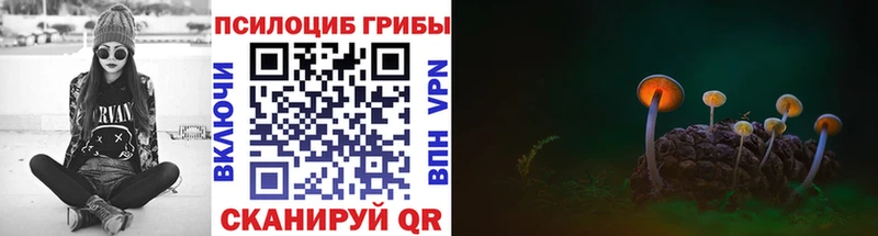 Псилоцибиновые грибы мицелий  сколько стоит  Зуевка 