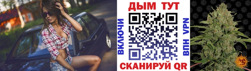 Конопля Bruce Banner  Зуевка 
